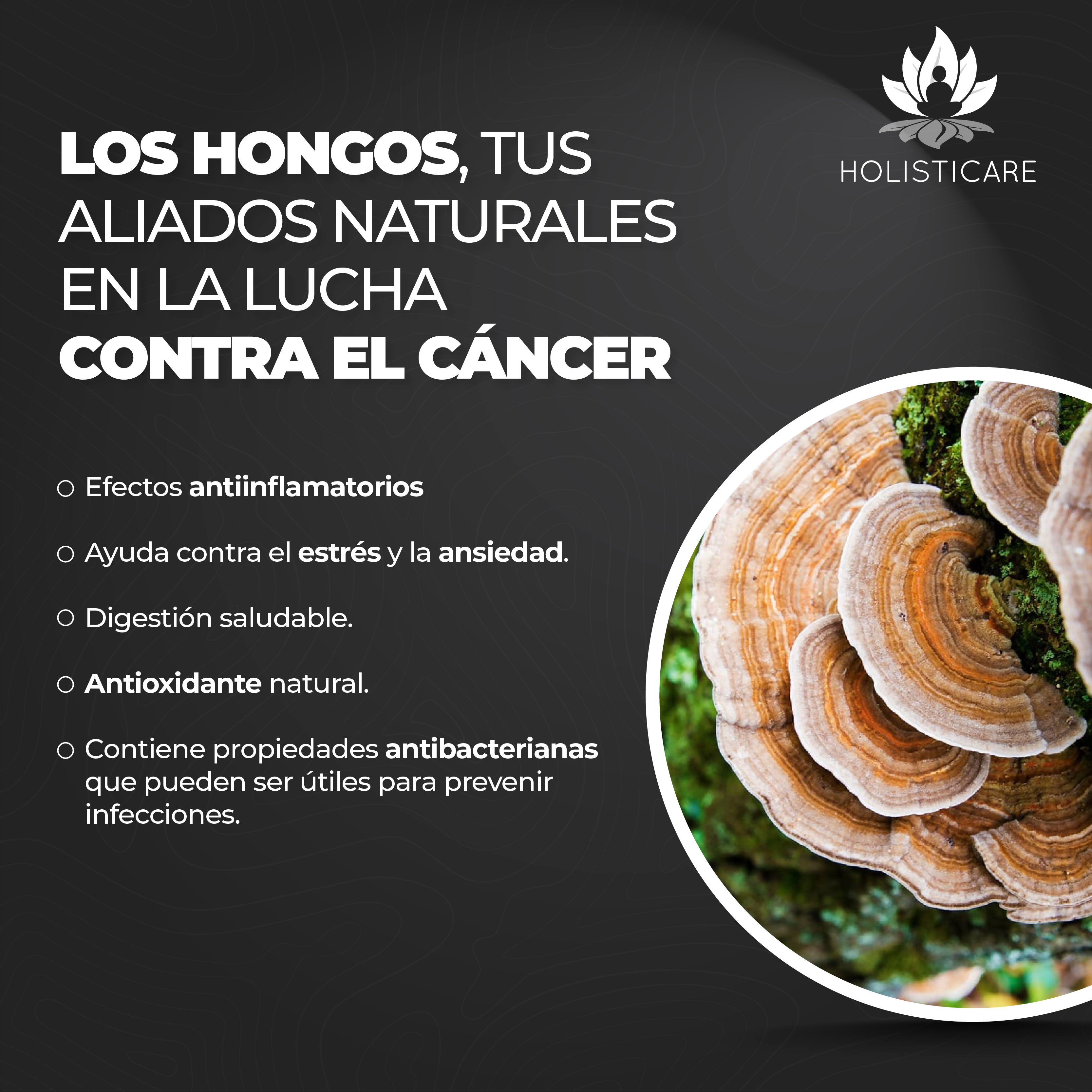 Mix De Hongos Select 60 Caps + Pre-Pro Bióticos 30 Caps KIT ANTIINFLAMATORIO