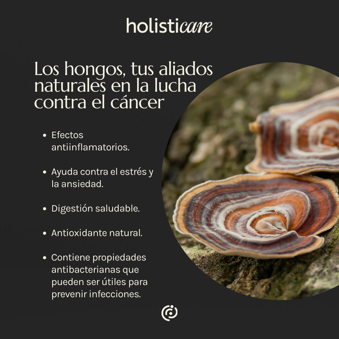 Mix De Hongos Select - 30 porciones - Hongos Cola de Pavo y Melena de León