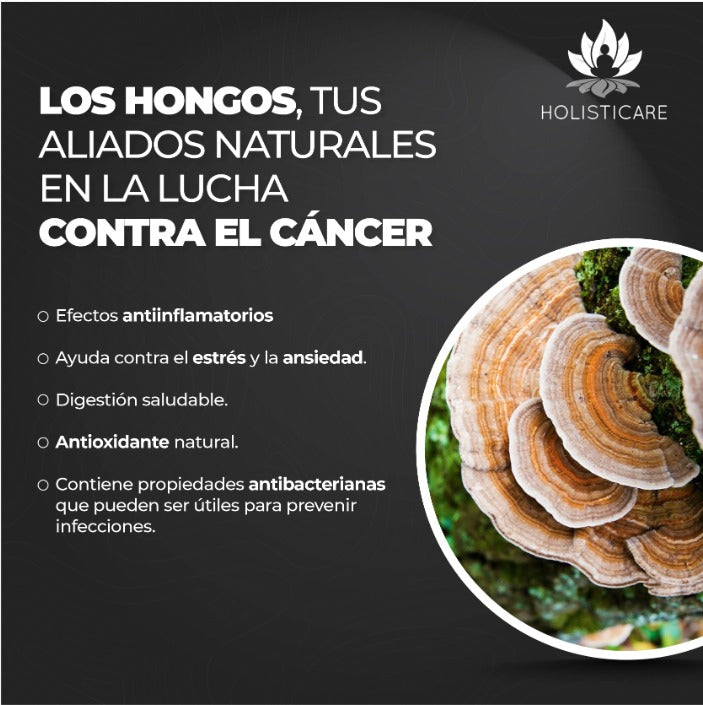 Mix Hongos Select + Pre-Probióticos - Kit Restauración Intestinal (Boost  intestinal)