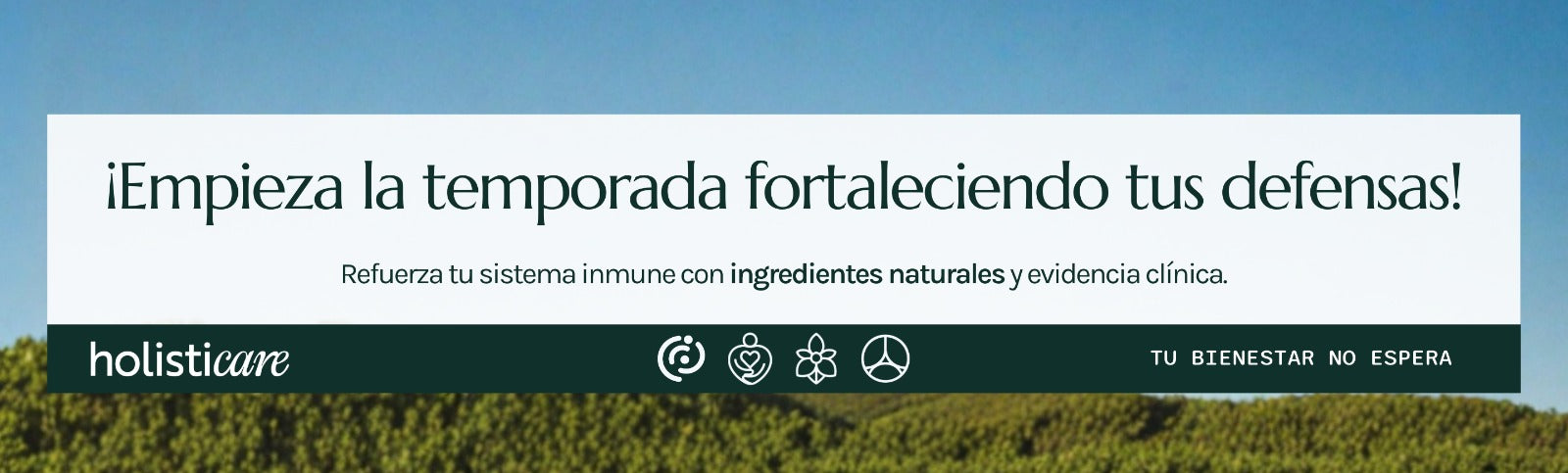 Desktop Slider Image