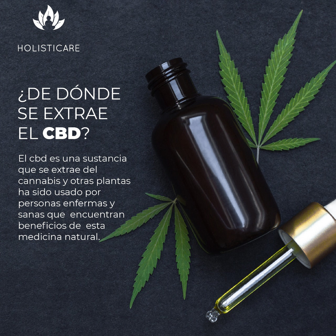 Gotas de CBD 30ml  | Amplio Espectro| Sabor MENTA